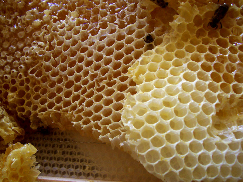 Honig vom Erzeuger